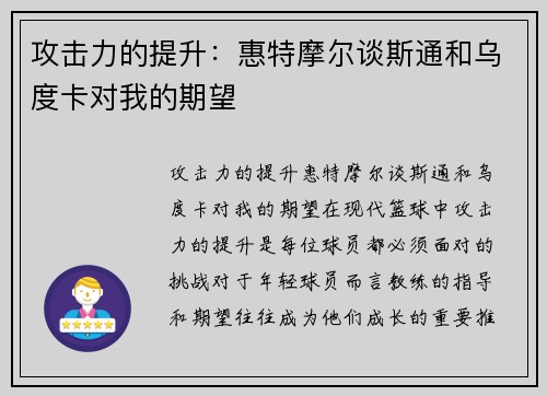 攻击力的提升：惠特摩尔谈斯通和乌度卡对我的期望