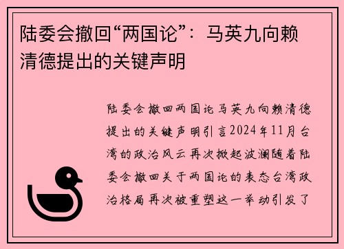 陆委会撤回“两国论”：马英九向赖清德提出的关键声明