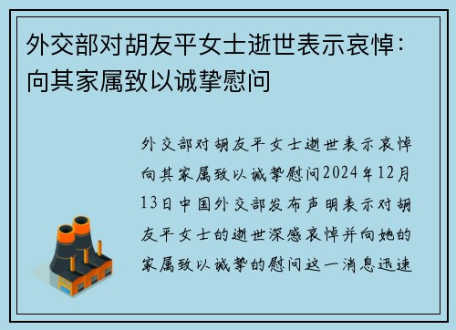 外交部对胡友平女士逝世表示哀悼：向其家属致以诚挚慰问